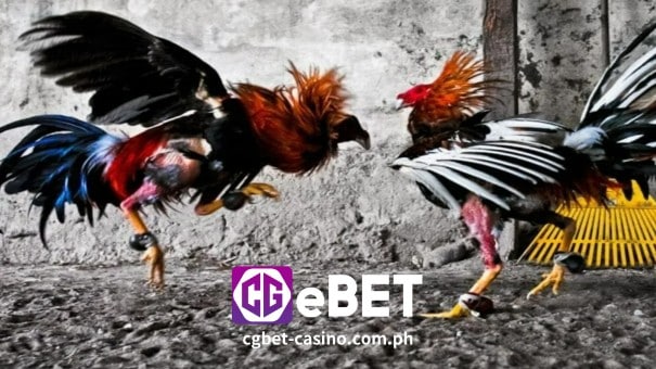 CGEBET Online Casino-Sabong 1