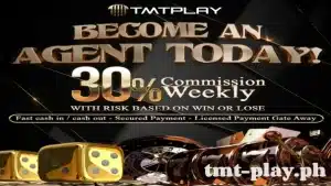 We will guide you on the first step to becoming a TMTPLAY agent and start making money today